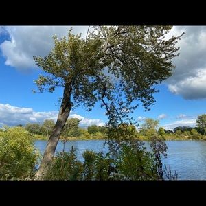 Meet your Posher, Isabel